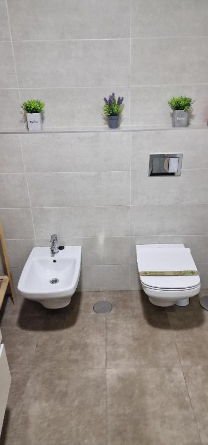 Estudio En Centro De Alicante Apartman Kültér fotó