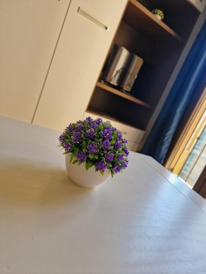 Estudio En Centro De Alicante Apartman Kültér fotó